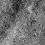 FC21B0015132_11356094514F1I.jpg
