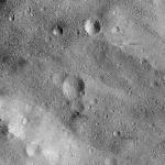 FC21B0015137_11356095129F1I.jpg