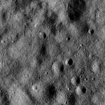 FC21B0015179_11359122117F1H.jpg