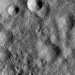 FC21B0015182_11359122502F1H.jpg