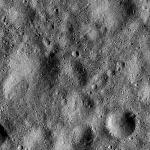 FC21B0015183_11359122617F1H.jpg