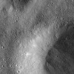 FC21B0015194_11359124003F1H.jpg