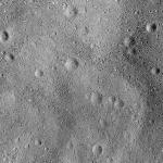 FC21B0015205_11359125347F1H.jpg