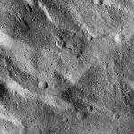 FC21B0015210_11359130732F1H.jpg