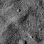 FC21B0015213_11359131547F1H.jpg