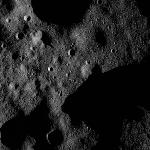 FC21B0015225_11359162709F1H.jpg