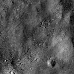 FC21B0015232_11359163924F1H.jpg