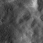 FC21B0015235_11359164339F1H.jpg