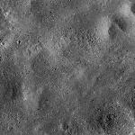 FC21B0015238_11359164724F1H.jpg