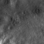 FC21B0015239_11359164839F1H.jpg
