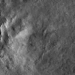 FC21B0015240_11359164954F1H.jpg