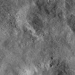 FC21B0015242_11359165224F1H.jpg