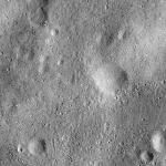 FC21B0015253_11359170610F1H.jpg
