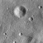 FC21B0015256_11359170955F1H.jpg