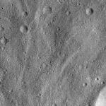 FC21B0015258_11359171225F1H.jpg