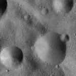 FC21B0015263_11359172139F1H.jpg