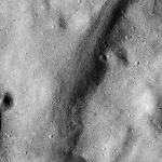 FC21B0015270_11359174054F1H.jpg