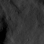 FC21B0015274_11359175155F1H.jpg