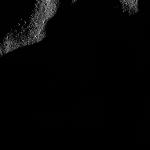 FC21B0015278_11359204714F1H.jpg