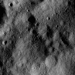 FC21B0015287_11359210259F1H.jpg
