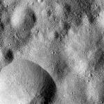 FC21B0015294_11359211244F1H.jpg