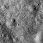 FC21B0015297_11359211629F1H.jpg