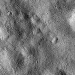 FC21B0015298_11359211744F1H.jpg