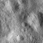 FC21B0015299_11359211859F1H.jpg