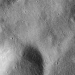 FC21B0015305_11359212630F1H.jpg
