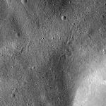 FC21B0015308_11359213015F1H.jpg