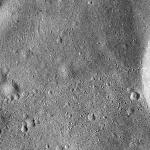 FC21B0015309_11359213130F1H.jpg