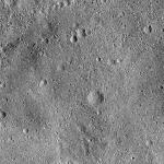 FC21B0015310_11359213245F1H.jpg