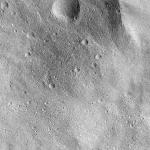 FC21B0015314_11359213745F1H.jpg