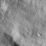 FC21B0015316_11359214015F1H.jpg