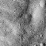FC21B0015320_11359214944F1H.jpg