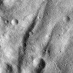 FC21B0015322_11359215514F1H.jpg
