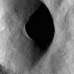 FC21B0015325_11359220329F1H.jpg