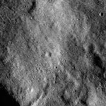 FC21B0015330_11359221714F1H.jpg