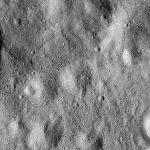 FC21B0015352_11360013940F1H.jpg