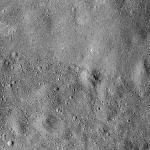 FC21B0015359_11360014825F1H.jpg