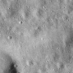 FC21B0015360_11360014940F1H.jpg