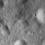 FC21B0015363_11360015326F1H.jpg