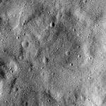 FC21B0015380_11360022510F1H.jpg