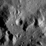 FC21B0015383_11360023325F1G.jpg