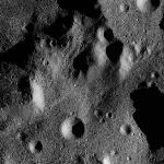 FC21B0015384_11360023610F1G.jpg
