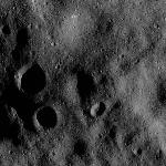 FC21B0015395_11360054359F1G.jpg