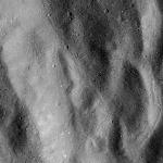 FC21B0015435_11360064559F1G.jpg