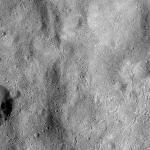 FC21B0015437_11360065129F1G.jpg
