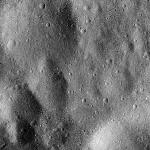 FC21B0015467_11361040950F1G.jpg