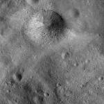 FC21B0015482_11361042835F1G.jpg
